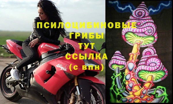 гашик Белоозёрский