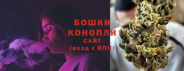 ешки Бронницы