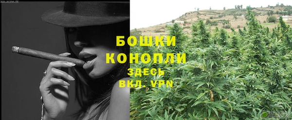 гашик Белоозёрский