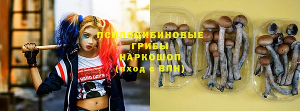 гашик Белоозёрский