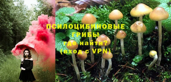 прущий лед Бородино