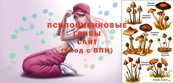 ешки Бронницы